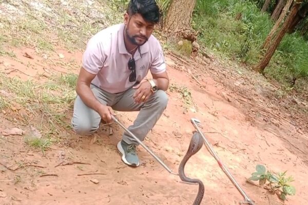 पत्रकार खनाल बने सर्प उद्धारकर्ता